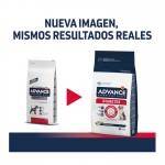 Pienso para Perros con Diabetes Mellitus Advance Veterinary Diets