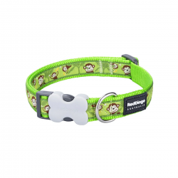 RedDingo Collar para Perros Verde Lima Diseño de Monos