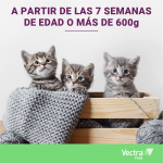Vectra Felis pipetas antiparasitarias para gato