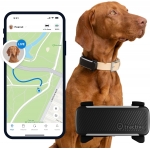 Tractive GPS & Health 6 Localizador para Perros Color Negro