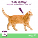 Vectra Felis pipetas antiparasitarias para gato