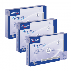 Effipro Spot On Pack Ahorro 12 pipetas para perros medianos (10-20kg)