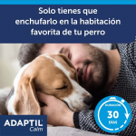 Adaptil-Difusor Eléctrico (1)