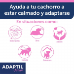 Adaptil-Collar Junior (1)