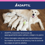 Adaptil-Collar Junior (1)