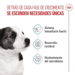 Royal Canin-Mini Puppy (1)