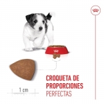 Royal Canin-Mini Puppy (1)