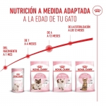 Royal Canin-Kitten (1)