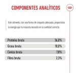 Royal Canin-Kitten (1)