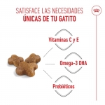 Royal Canin-Kitten (1)