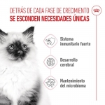 Royal Canin-Kitten (1)