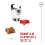 Royal Canin-Kitten (1)