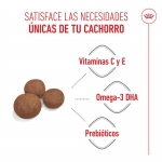 Medium Junior Cachorros Razas Medianas (6)