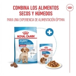 Medium Junior Cachorros Razas Medianas (6)