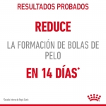 Royal Canin-Hairball Eliminacion Bolas Pelo. (1)