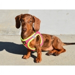 Nayeco X-TRM Neo Arnés Para Perros Fucsia