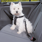 Arnes Con Cinturon Seguridad Coche Trixie Para Perro