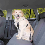 Arnes Con Cinturon Seguridad Coche Trixie Para Perro