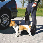 Arnes Con Cinturon Seguridad Coche Trixie Para Perro