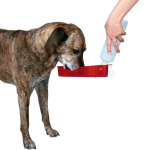 Bebedero Viaje Botella Trixie 250 Ml Para Perro