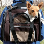 Mochilla Shiva Nylon Hasta 8 Kg Marron