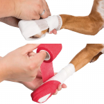 Trixie Kit Primeros Auxilios para Perro y Gato