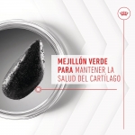 Royal Canin Joint & Ageing Chews Suplemento Alimenticio para Perros Movilidad