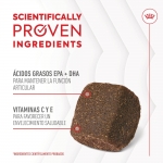 Royal Canin Joint & Ageing Chews Suplemento Alimenticio para Perros Movilidad