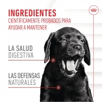 Royal Canin Inmunity & Digestion Puppy Suplemento Alimenticio para Cachorros