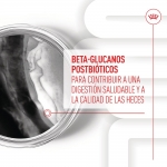 Royal Canin Inmunity & Digestion Puppy Suplemento Alimenticio para Cachorros
