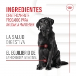 Royal Canin Digestion Chews Suplemento Alimenticio para Perros Digestión