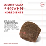 Royal Canin Digestion Chews Suplemento Alimenticio para Perros Digestión
