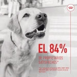 Royal Canin Digestion Chews Suplemento Alimenticio para Perros Digestión