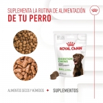 Royal Canin Digestion Chews Suplemento Alimenticio para Perros Digestión