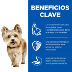 Hills Science Plan Mature Small & Mini Comida Húmeda Para Perros Pequeños con Ternera