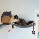 Zolux Ethicat Cojin Rascador para gatos Flor
