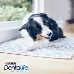 Dentalife Dog Medium Para Perros Medianos