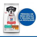 Hills Science Plan Perfect Weight & Active Mobility Small Pienso para Perros Pequeños con Pollo