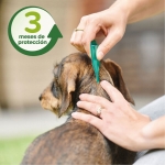 Beaphar Sport-On Pipetas Repelentes Naturales para Perros Pequeños