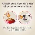 Beaphar Pasta MultiVitaminas Para Perros