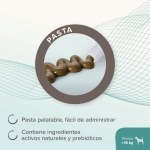 Beaphar Intestopro Regulador Intestinal para Perros Grandes