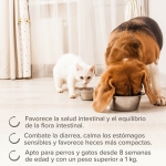 Beaphar Intestopro Regulador Intestinal para Perros Grandes