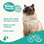 Beaphar Champú Universal para Gatos