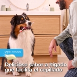 Beaphar Kit Dental Cepillo Doble + Pasta De Dientes Para Perros y Gatos