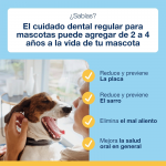 PlaqueOff Bone Dental para Perro Grande