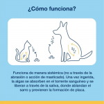Divasa-Plaque off Croq para Perro (1)