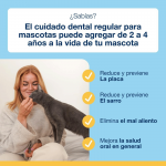 Divasa-Plaque off Croq para Perro (1)