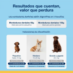 Divasa-Plaque off Croq para Perro (1)