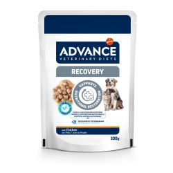 Comida Húmeda para Perros y Gatos en Recuperación Advance Veterinary Diets