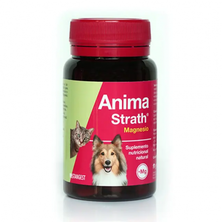 Stangest-Fortificante Natural para Perro y Gato (1)